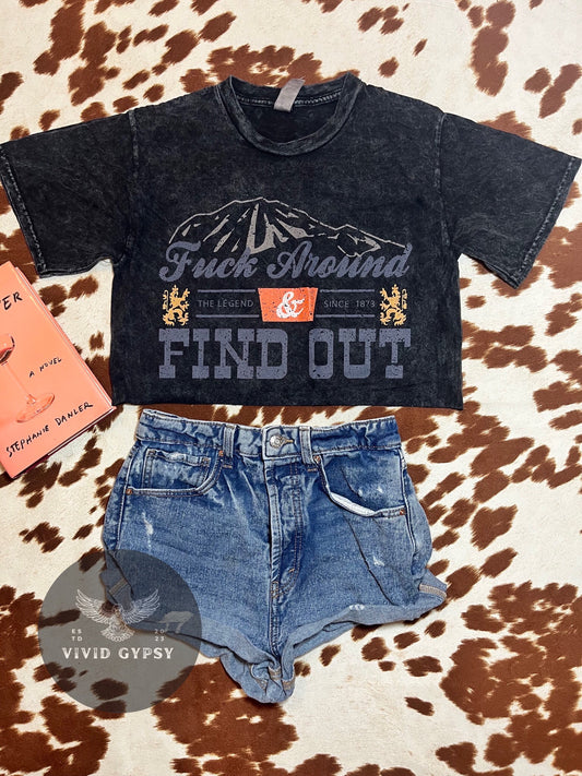 F✨ck Around & Find Out - Vintage Crop Top